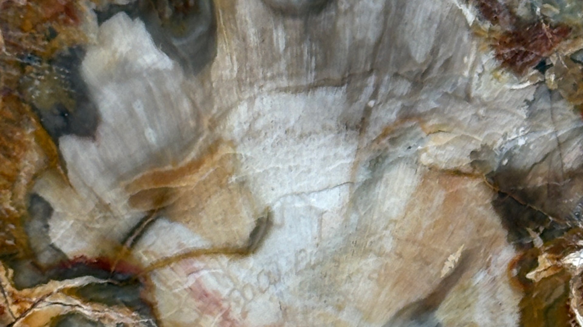 Root Melt Color Transformations in Action