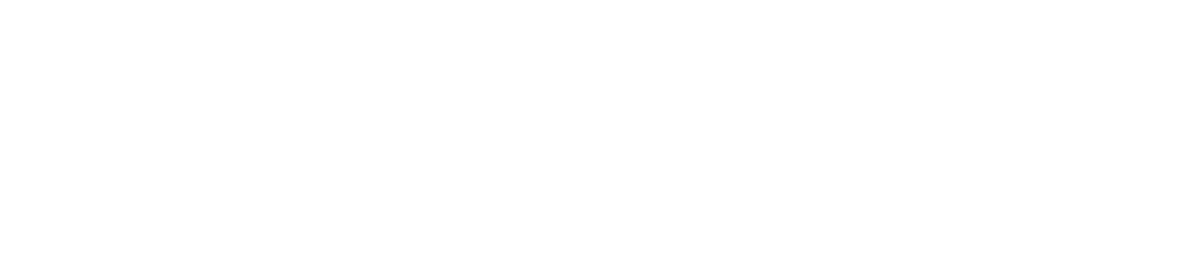 Covet & Mane LLC